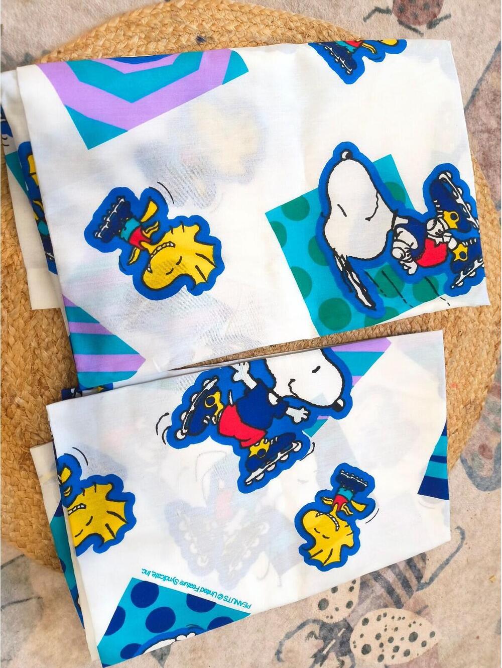 Vintage VTG Peanuts Snoopy & Woodstock Dreamstyles by Bibb Rollerblading [COPY]